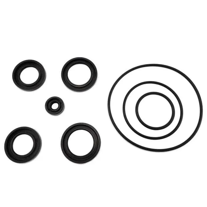 Suzuki 25700-98J01 Gear Case Seal Kit DF250SS DF300