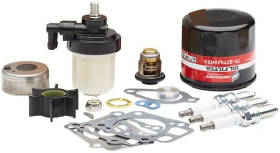 Mercury 300 Hour Maintenance Kit 25-30HP 8M0120839