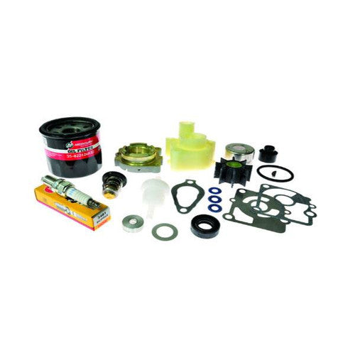 Mercury 300 Hour Maintenance Kit, 15-20hp FourStroke 8M0120838