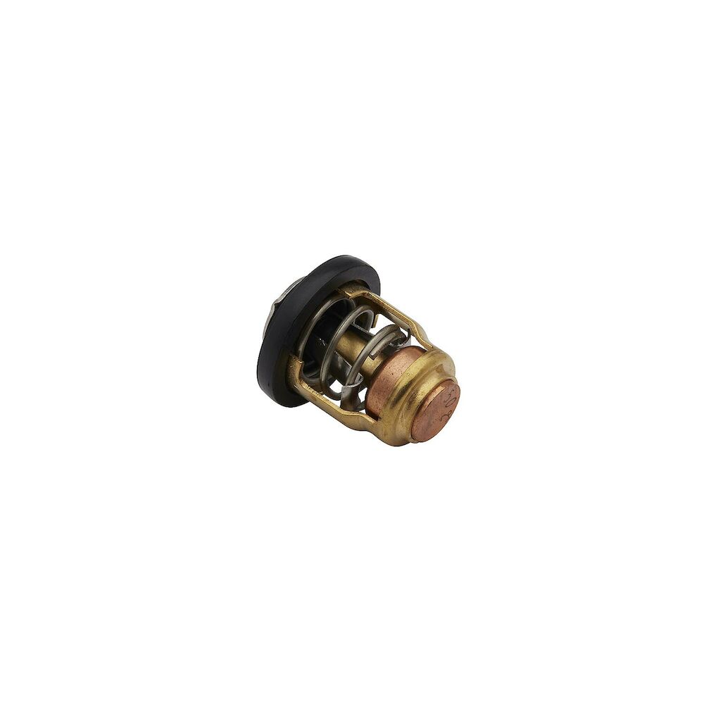 Quicksilver 8M6010294 thermostat manufacturer photo 2