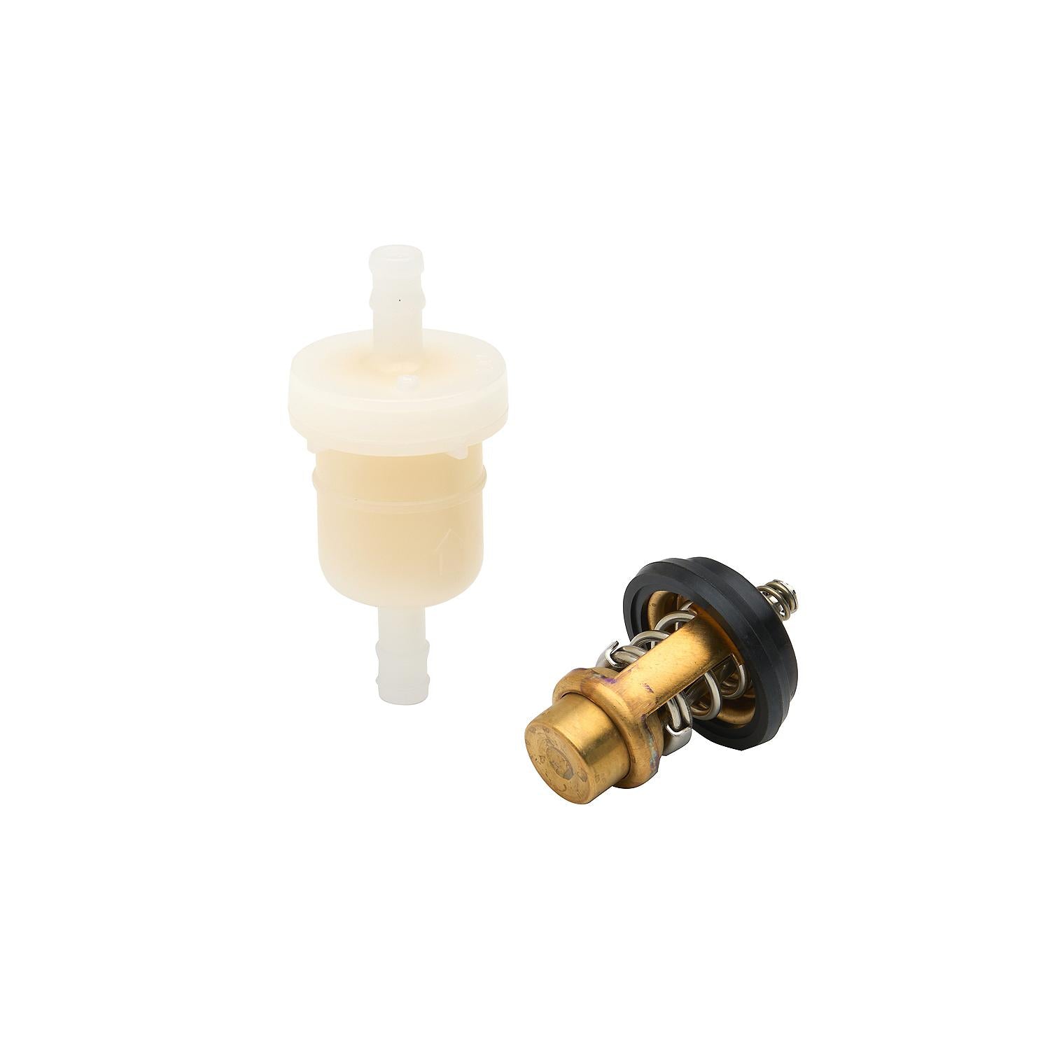 Mercury 8M0120836 300 hour maintenance kit for 4-6hp FourStroke outboards Fuel Filter Thermostat