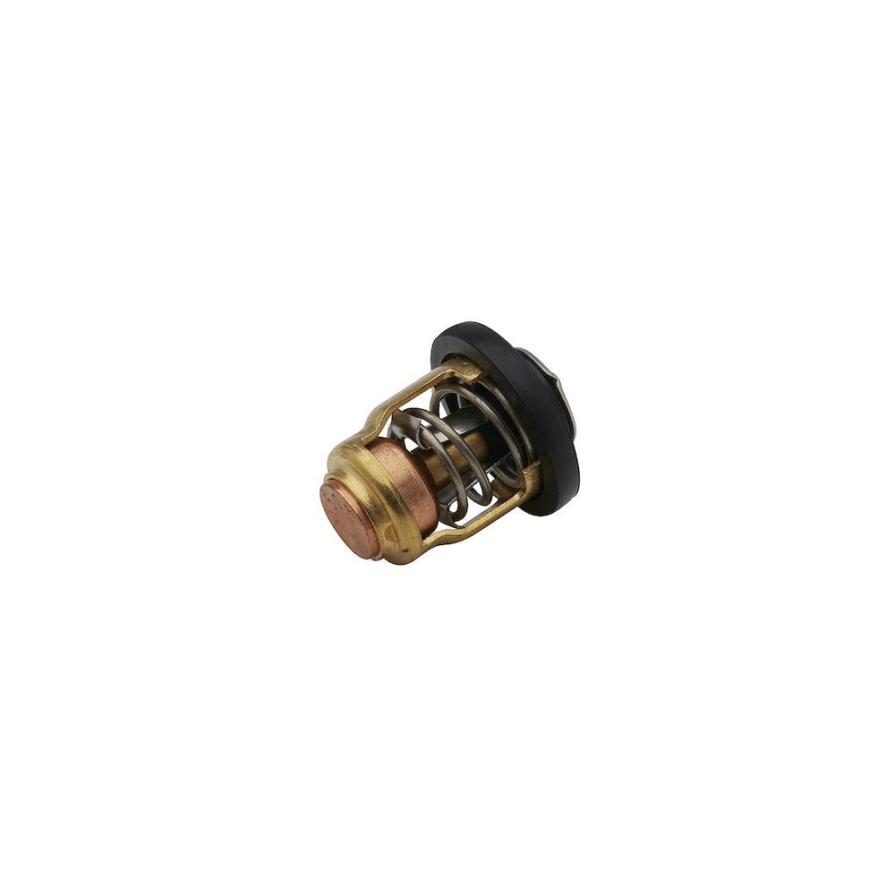 Quicksilver 8M6010294 thermostat manufacturer photo 3