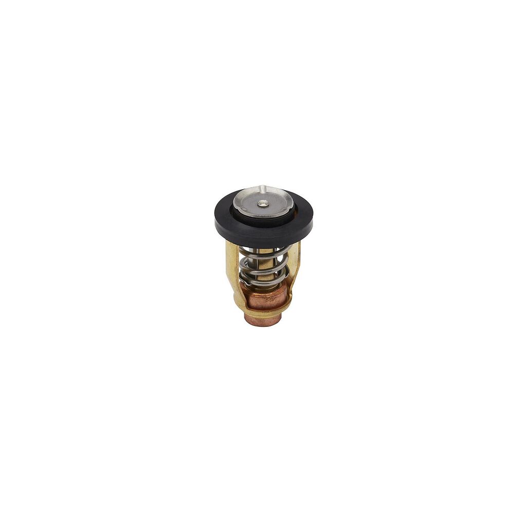 Quicksilver 8M6013866 Yamaha thermostat - product image 4