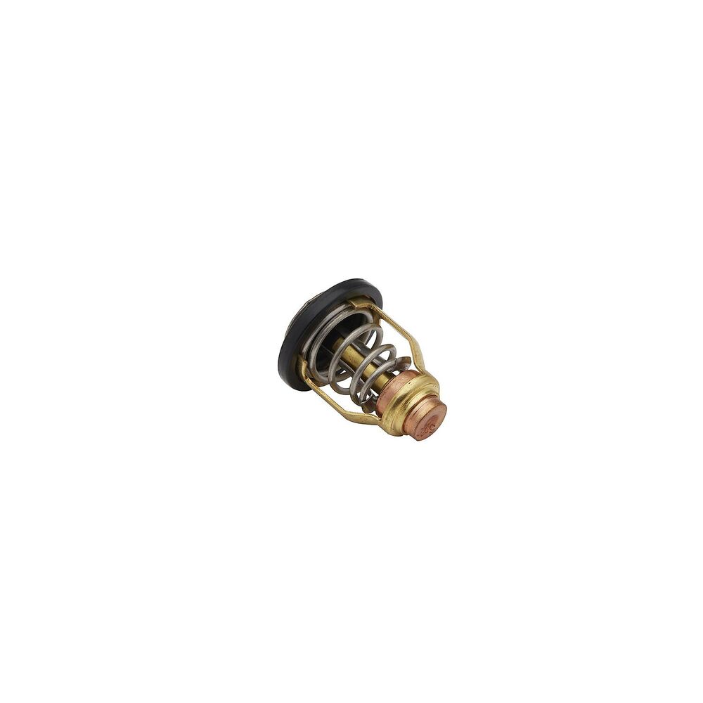 Quicksilver 8M6013867 Yamaha thermostat - product image 4