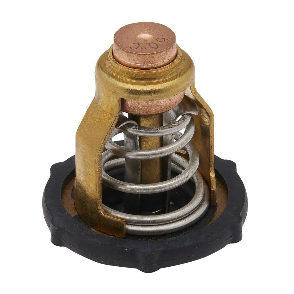 Quicksilver 8M6013870 thermostat product view 1